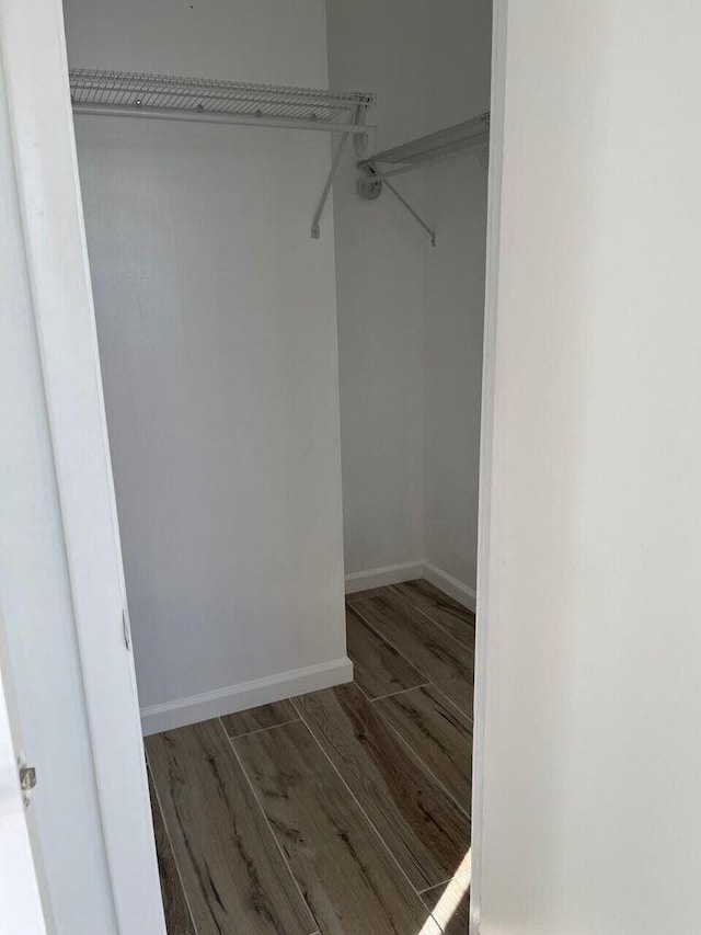 spacious closet featuring wood finished floors