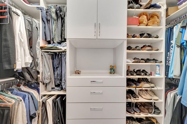 view of spacious closet