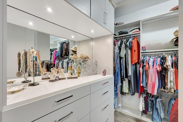 walk in closet featuring wood finished floors