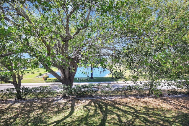 view of yard with a water view