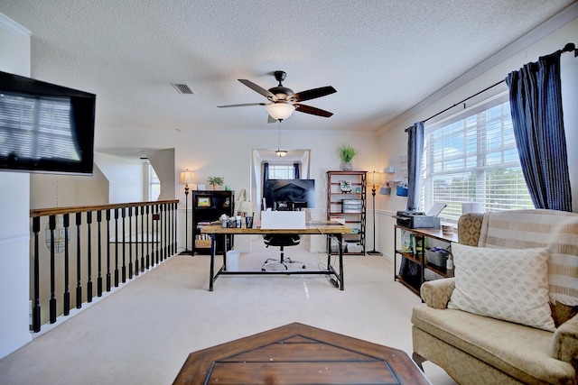 office with carpet floors, plenty of natural light, and a textured ceiling