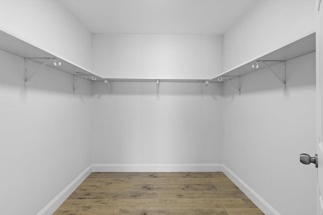 walk in closet with wood finished floors