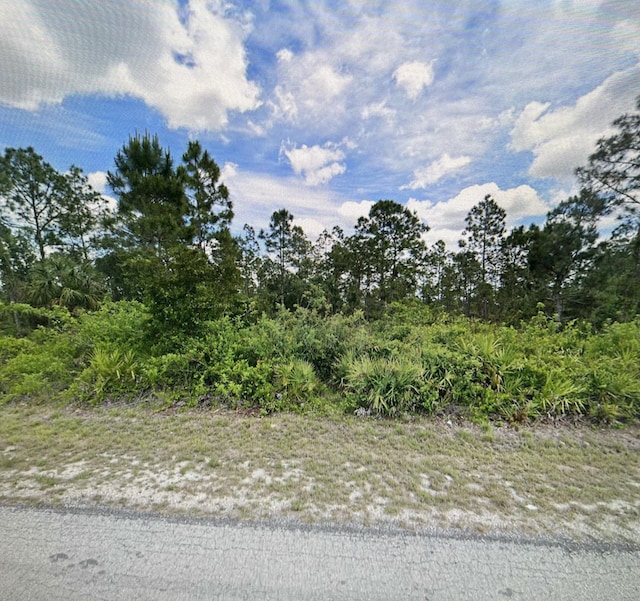 514 Scott Ave, Lehigh Acres FL, 33972 land for sale