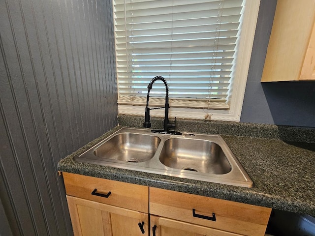 details featuring wood walls, dark countertops, and a sink