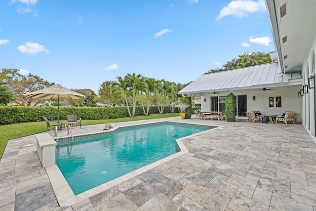 view of pool with a yard, a patio area, a ceiling fan, and a fenced in pool