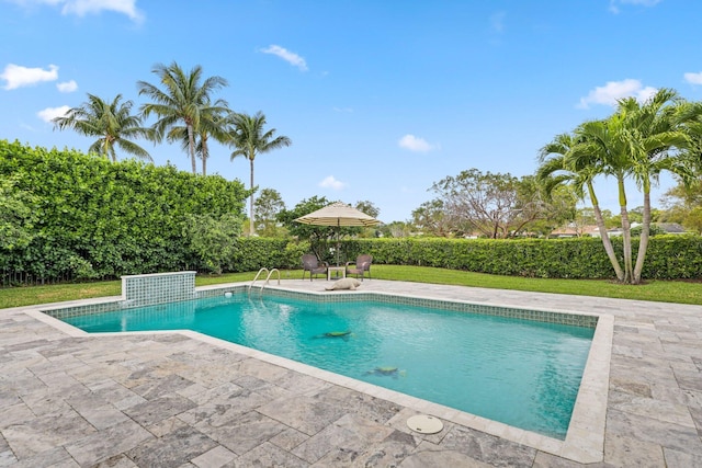 view of swimming pool with a yard, a fenced in pool, and a patio