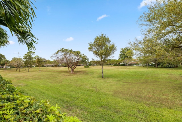 view of yard