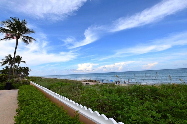 view of water feature featuring a view of the beach