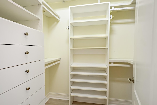 spacious closet featuring wood finished floors