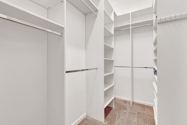 spacious closet with carpet flooring