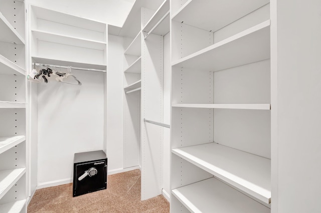 walk in closet with light colored carpet