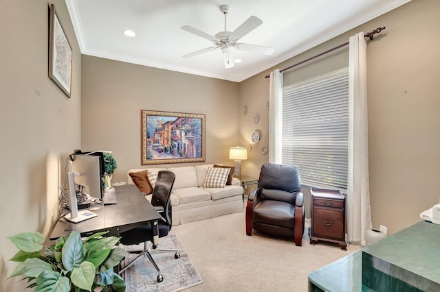 carpeted home office with ceiling fan and crown molding