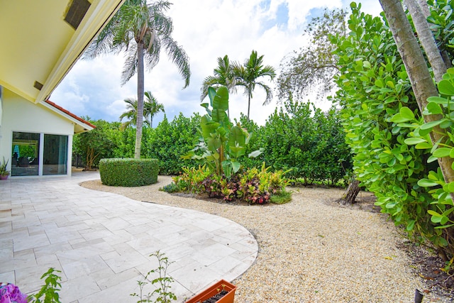 view of yard featuring a patio area