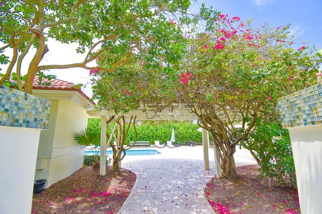 view of patio / terrace with an outdoor pool