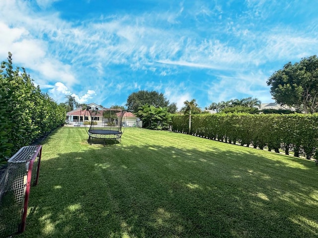 view of yard with a trampoline