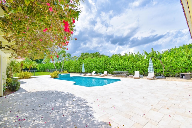 pool featuring a patio area