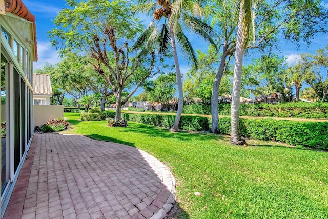 view of yard featuring a patio