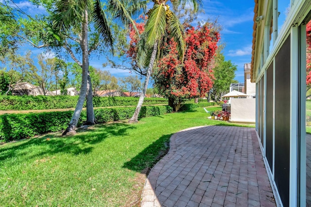 view of yard featuring a patio