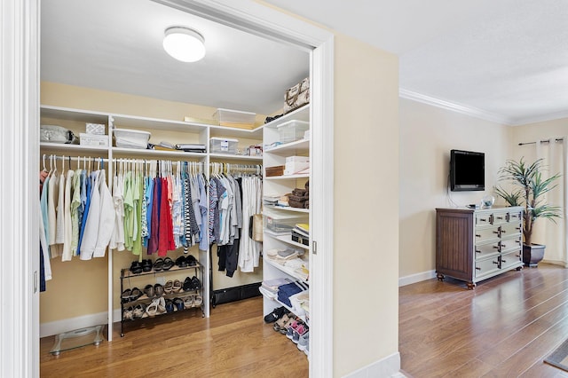 spacious closet featuring wood finished floors