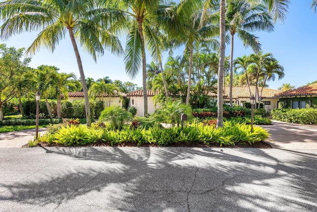 16 Little Pond Rd, Manalapan, FL 33462 - exterior space