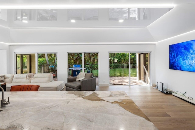 living area featuring a high ceiling and wood finished floors