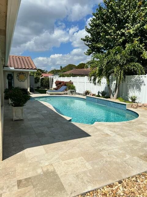 view of pool with a fenced backyard, a fenced in pool, and a patio