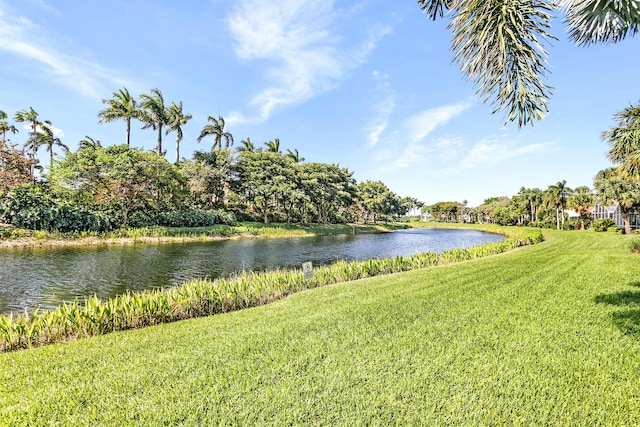 property view of water