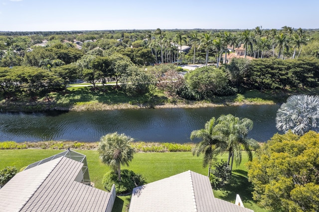 aerial view with a water view