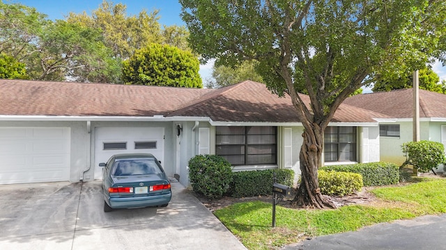 ranch-style home with a shingled roof, driveway, an attached garage, and stucco siding