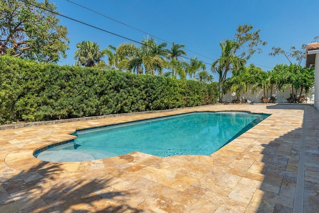 view of swimming pool with a fenced backyard, a fenced in pool, and a patio