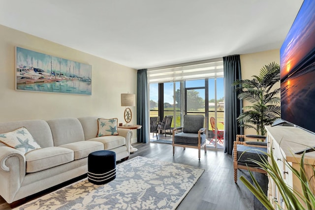 living room featuring wood finished floors