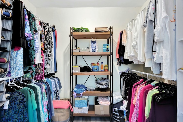 view of walk in closet