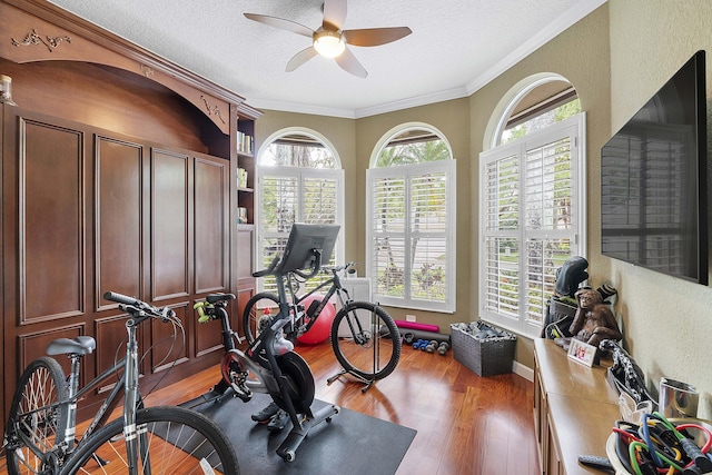 exercise room with crown molding, a textured ceiling, light wood finished floors, and ceiling fan