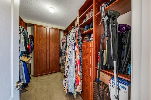 walk in closet with light carpet