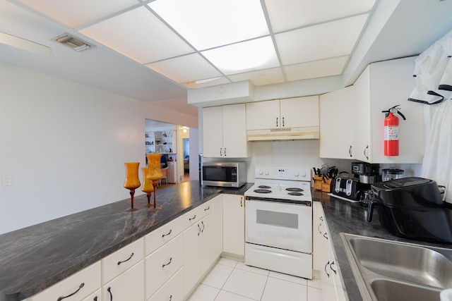 kitchen with white electric stove, visible vents, stainless steel microwave, under cabinet range hood, and a sink