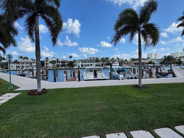 dock area featuring a yard