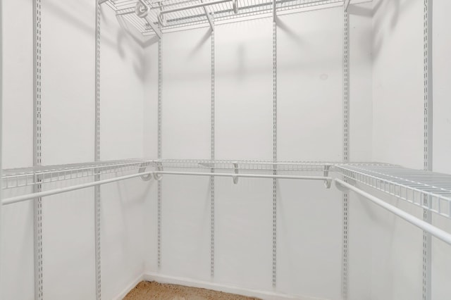 view of spacious closet