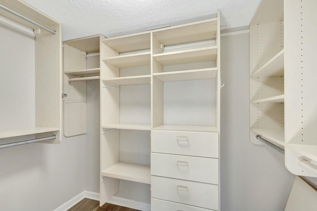 spacious closet featuring wood finished floors