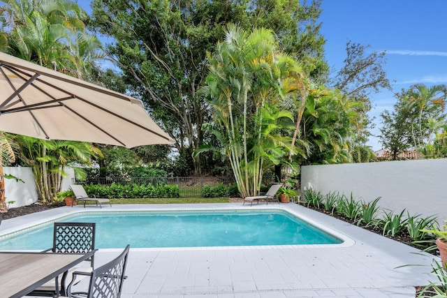 view of swimming pool with a patio area, a fenced in pool, and a fenced backyard