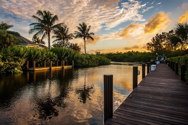 dock area with a water view