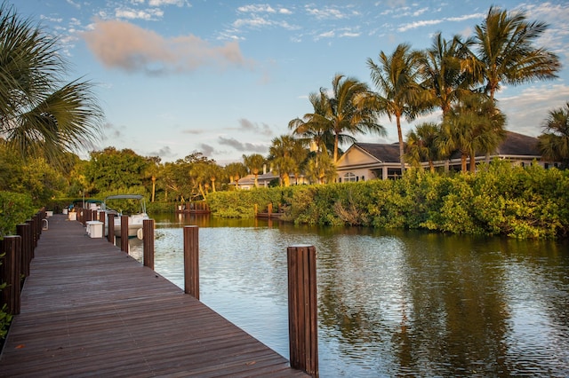 dock area featuring a water view