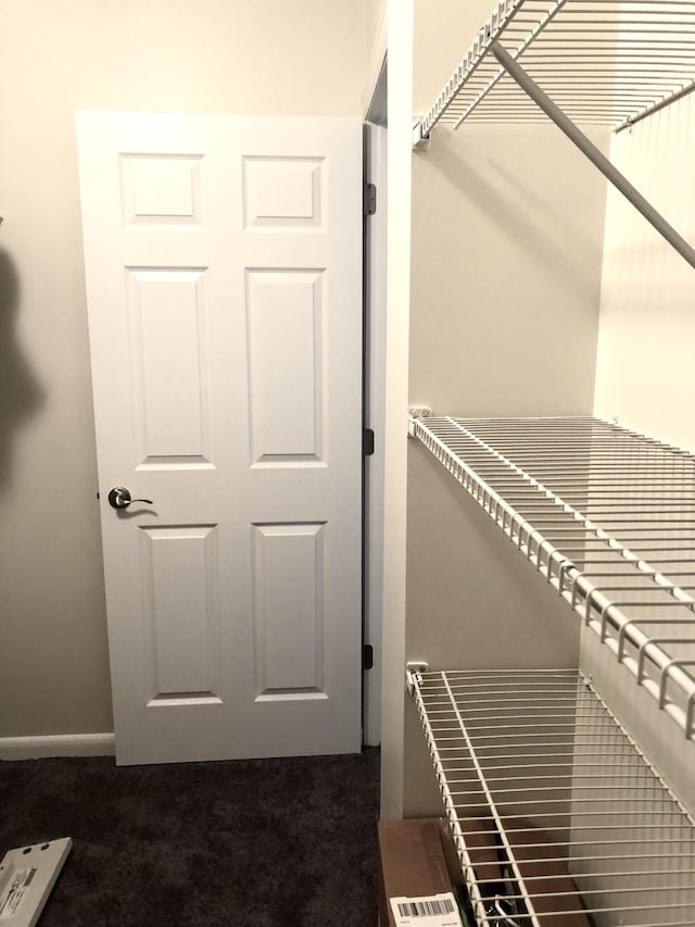 spacious closet with dark colored carpet