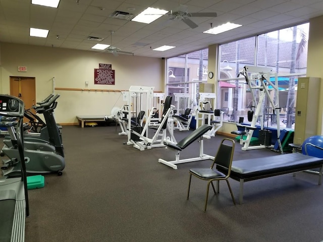 workout area with a paneled ceiling, visible vents, a wall of windows, and a ceiling fan