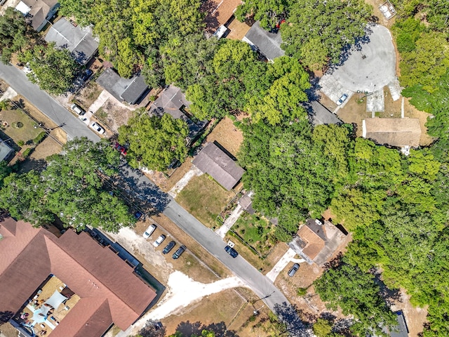 1201 Susan St, Leesburg, FL 34748 - bird's eye view