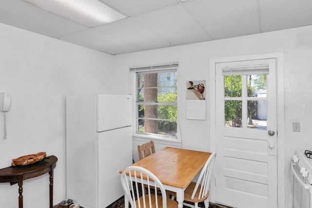 dining area with a drop ceiling