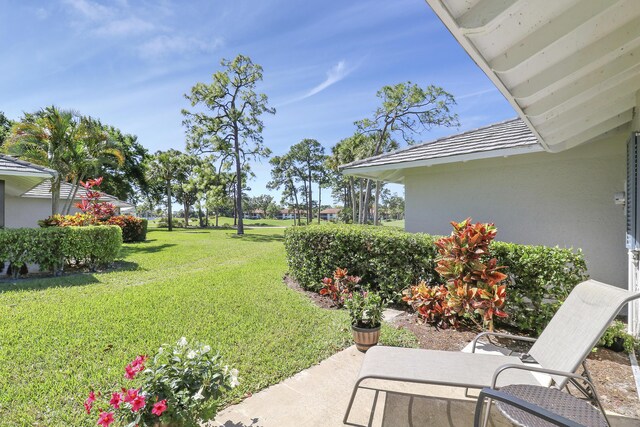 view of yard with a patio area