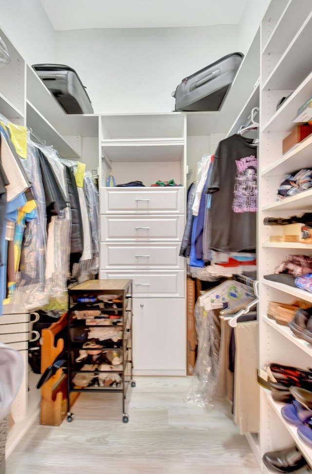 walk in closet featuring wood finished floors