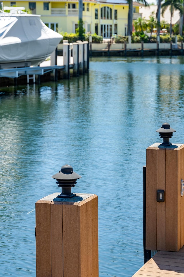 dock area with a water view