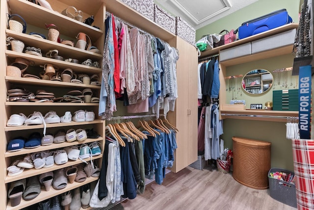 walk in closet with attic access and wood finished floors