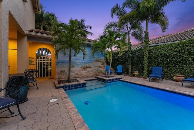view of pool with a patio area, a fenced in pool, and a gate